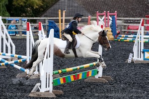 Class 3 -  Fences not above 2'3